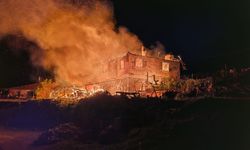 Manisa'da gece vakti korkutan yangın