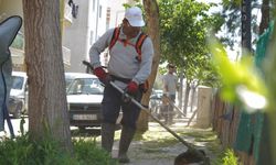 Yunusemre'de yaz mesaisi başladı