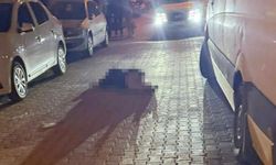 Muğla'da iki kadına silahlı saldırı: 1 ölü, 1 ağır yaralı