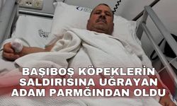 Başıboş köpeklerin saldırısına uğrayan adamın baş parmağı koptu