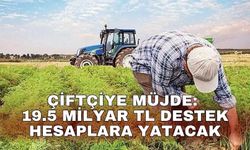 Çiftçiye müjde: 19.5 Milyar TL destek hesaplara yatacak
