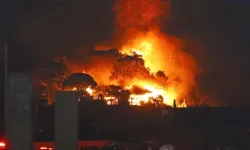 Japonya'da orman yangınında bin 176 hektarlık alan küle döndü