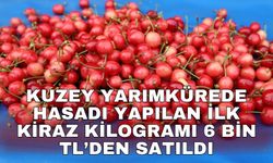 Kuzey yarımkürede hasadı yapılan ilk kiraz kilogramı 6 bin TL’den satıldı