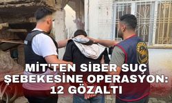 MİT'ten siber suç şebekesine operasyon: 12 gözaltı