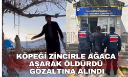 Köpeği zincirle ağaca asarak öldürdü. Gözaltına alındı