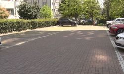 Başıboş köpekler vatandaşı kovaladı