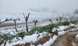 Manisa'da ani kar üreticiyi zorladı