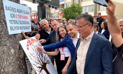 Kökten Hayata Şenliği'ne yoğun ilgi
