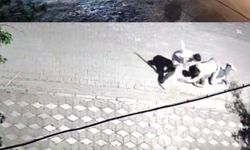 Manisa'da kız meselesi kanlı bitti