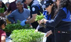 Salihlili üreticilere 34 bin sebze fidesi