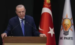 Cumhurbaşkanı Erdoğan: "Çiftçilerimiz için 500 milyon dolarlık kredi hacmi oluşturacağız"