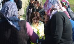 Madde bağımlısı cani baba, boğarak öldürdüğü 3 yaşındaki Poyraz'ı parçalara ayırdı