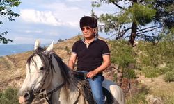 Kararname Yayımlandı. Vali Yardımcıları ve kaymakamlar değişti