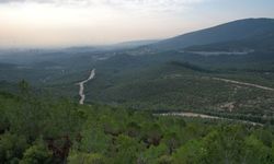 İzmir'de ormanlara giriş yasağı başladı