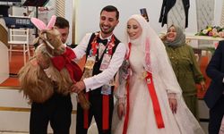 Düğünde altın değil keçi takıldı