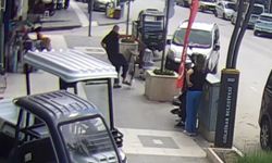 Köpeğine saldıran kediye tekme attı