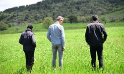 Manisa Büyükşehir’in toprakla buluşan tohumları yeşerdi