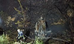 Şarampole yuvarlanan otomobil orman yangınına neden oldu