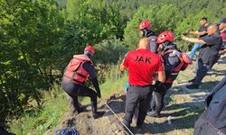 Akıntıya kapılan CHP'li il başkan yardımcısının cansız bedenine ulaşıldı