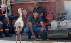 Balıkçı Ahmet ile leyleğin 10 yıllık kahvehane randevusu