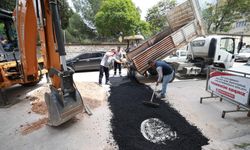 Şehzadeler’de taleplerin yüzde 81’i çözüldü