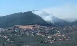 Balıkesir'de orman yangını