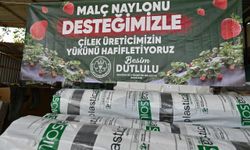 Manisa BŞB'den çilek üreticilerine malç naylonu desteği