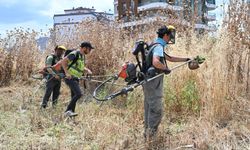 Manisa'da yangın riskine karşı yabani otlar temizleniyor