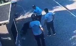 Manisa'da köpeğe ve güvenliğe saldırdı, tutuklandı!