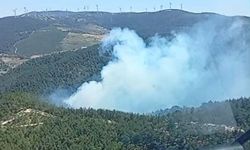 Manisa'daki orman yangınına havadan ve karadan müdahale başladı