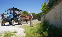 Karaali’de yol kenarları temizlendi