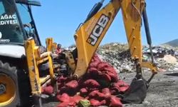 Manisa'da 4 ton midye imha edildi