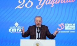 Cumhurbaşkanı Erdoğan: "Bizzat kendi elleriyle, kendi eylemleriyle bu noktaya geldiler"