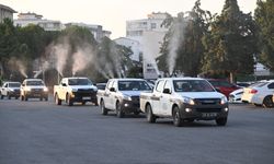 Manisa’da vektörle mücadele gece gündüz sürdürüyor