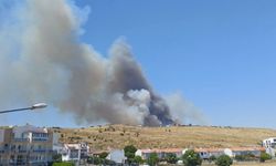 Dikili'deki yangına havadan 7 uçakla müdahale