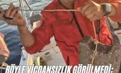 Böyle vicdansızlık görülmedi: "Deniz kaplumbağasının ayağına kaldırım taşı bağlamışlar"