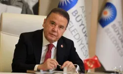 Muhittin Böcek: "Özgür Özel, İmamoğlu'nun görüşü dışında hareket edemiyordu"