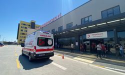 Zakkumun çiçeğini yedi, komalık oldu