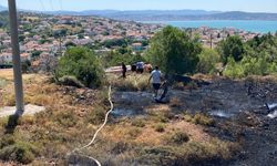 Cunda Adası’nda orman yangını