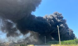 İzmir'de geri dönüşüm fabrikasında korkutan yangın