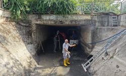 Manisa'nın derelerinde koku ve kirliliğe karşı kapsamlı temizlik