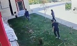 Caminin sulama fıskiyelerine zarar veren şahıslar kamerada