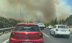 Manisa'da orman yangını İzmir-İstanbul Otoyolu'na ulaştı