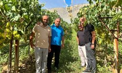 Üreticinin hasat heyecanına ortak oldular