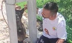 Belçika kurdunu zehirleyip direğe asarak telef ettiler