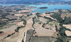 Manisa ve İzmir'den ortak proje: Baraj çevresi arıcılığa kazandırılacak