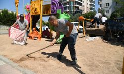 Çocuk parklarında zeytin çekirdeği dönemi