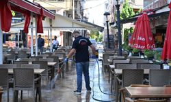 Manisa'da haşerelerle mücadele tüm hızıyla sürüyor