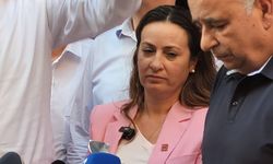 İlksen Özalper: "Gelsinler de görelim"