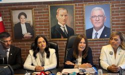 İYİ Partili Sunat: "Vestel elini taşın altına koymalı"
